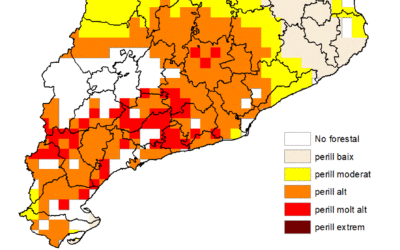 EXTREMEMOS LA PRECAUCIÓN, ESTAMOS EN PELIGRO DE INCENDIO FORESTAL