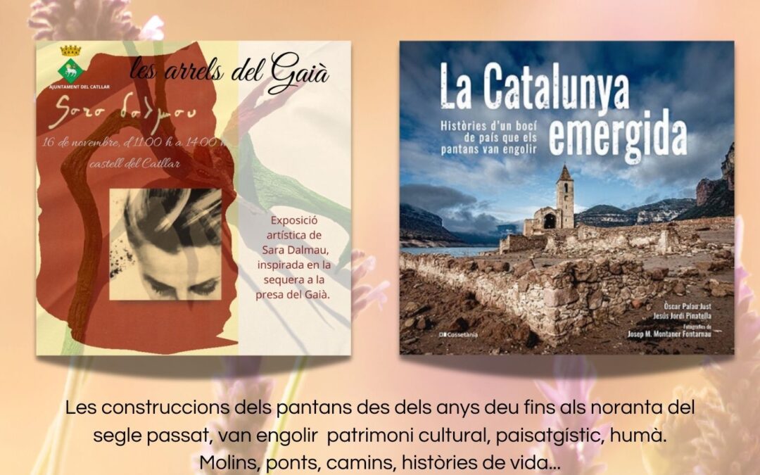 EXPOSICIÓ ARTÍSTICA I PRESENTACIÓ DE LLIBRE AL CASTELL