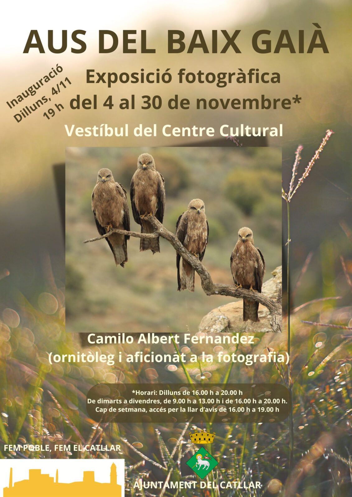 EXPOSICIÓN FOTOGRÁFICA "AVES DEL BAIX GAIÀ"