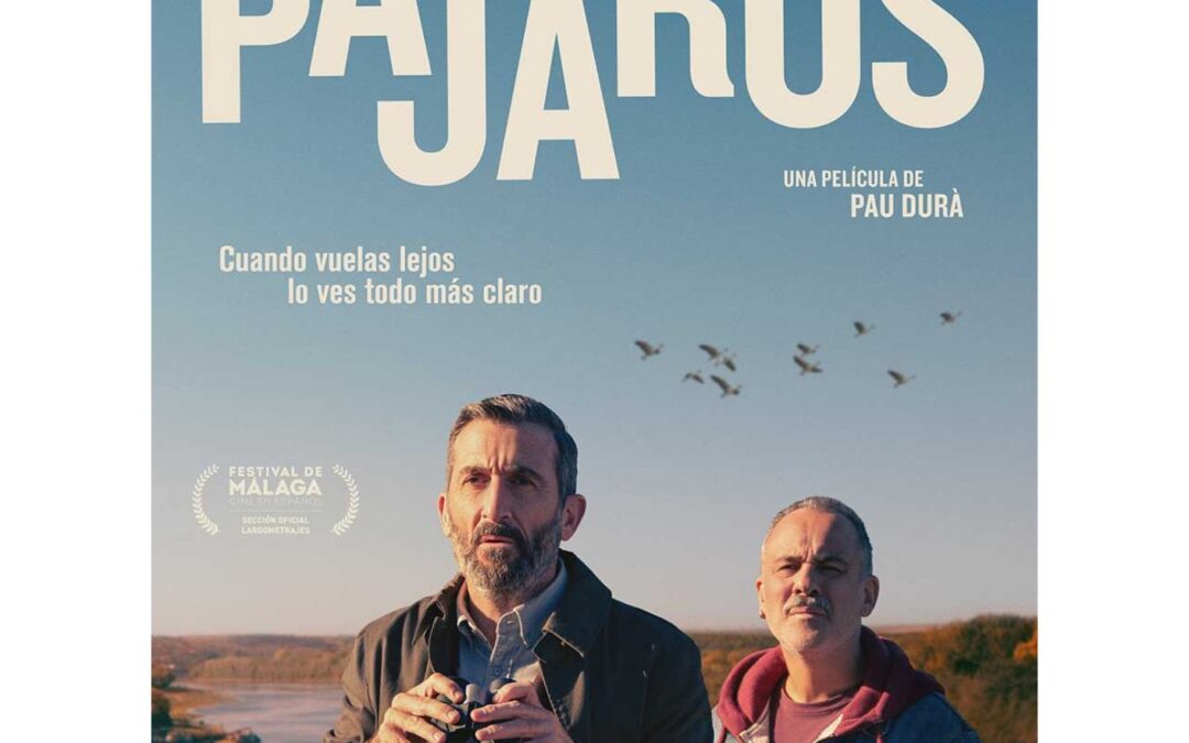 AQUEST DIVENDRES 25 D’OCTUBRE, CINEMA CICLE GAUDÍ: PÁJAROS.