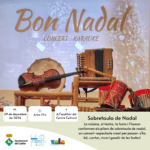 CONCIERTO DE SOBREMESA DE NAVIDAD